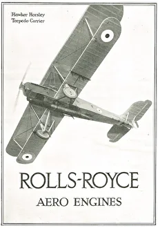 Images Dated 10th June 2013: 13873054