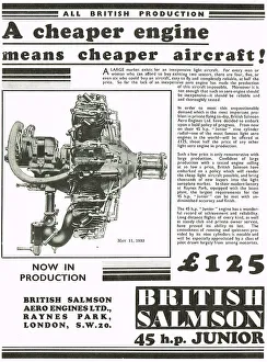13874116