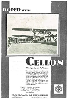 13879037