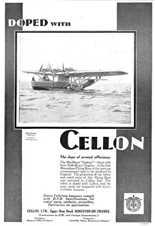 13879059