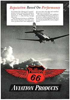 13880954
