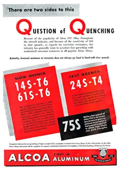 13887097
