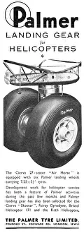 13900272