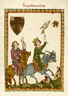 Falcons Prints: 13th Cent Hawking