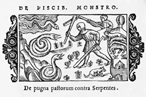 Countryfolk Prints: 1555 / Fighting Snakes