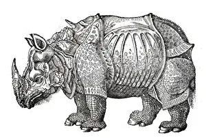 Serpents Prints: Rhino