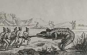 Loincloth Prints: 16th century French expedition. Florida. Crocodile hunting