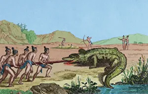 Loincloth Prints: 16th century French expedition. Florida. Crocodile hunting