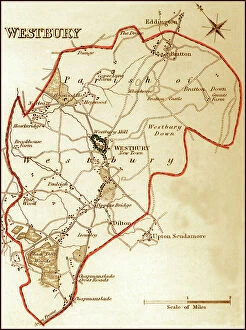 Images Dated 27th July 2011: 1832 Victorian Map of Westbury