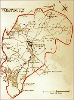 Images Dated 27th July 2011: 1832 Victorian Map of Westbury