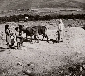Solider Prints: 1843 - Syria - threshing grain with donkeys