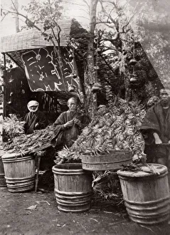 1871 Japan - from The Far East magazine