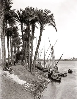 1880s - river boats on the banks of the Nile
