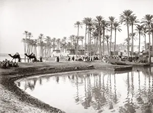 Pots Prints: 1880s - village, palm trees along the River Nile, Egypt