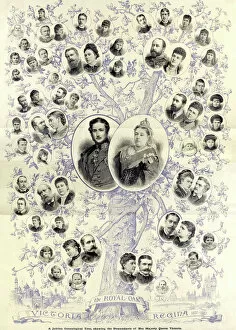 Images Dated 29th March 2016: 1887 Jubilee genealogical tree of Queen Victoria