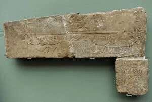 Limestone Collection: 18th Dynasty 1300 BC 1300BC 1350 1350BC Ancient
