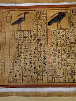 Hieroglyph Collection: 18th Dynasty 1400 BC 1400BC Ancient Age Ancient