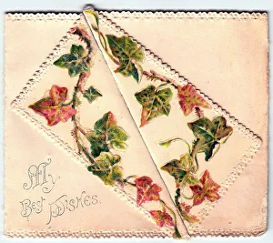 Veins Prints: 1900s 1890s Card Cards Greetings Autumn Leaves