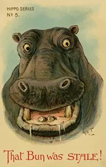Hippo Prints: Hippo