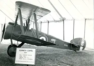 Marquee Prints: The 1917 Sopwith Camel of the Nash Collection inside the?