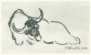 Bull