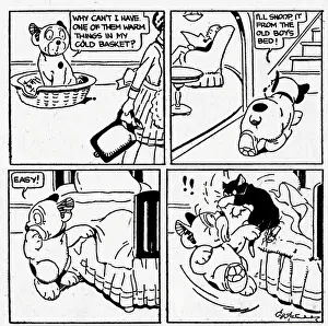 Bonzo