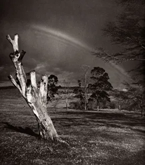 1940s East Africa - Kenya highland scenery