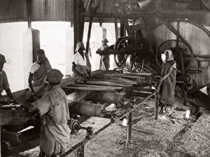 1940s East Africa - making sisal, Kenya