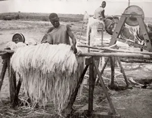 1940s East Africa - making sisal, Kenya