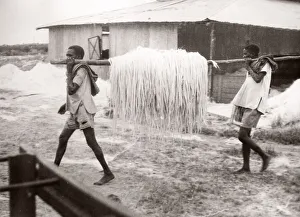 1940s East Africa - making sisal, Kenya