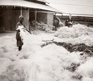 1940s East Africa - making sisal, Kenya