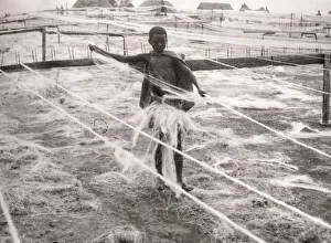 1940s East Africa - making sisal, Kenya