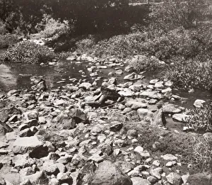 1940s East Africa - Msi drinking at a river