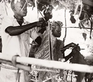 1940s East Africa Uganda - growing tobacco