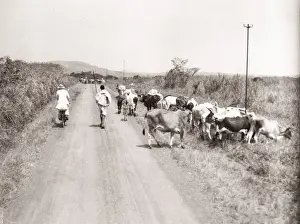 1940s East Africa - Uganda rural transport bicycle