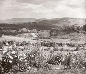 Hisorical Prints: 1940s East Africa - Uganda - typical scenery Kabale Ankole