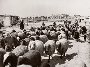 1943 Middle East Syria - scene at Aleppo
