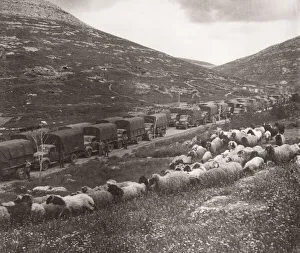1943 - supply convoy close to Syria, Turkey border