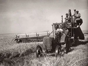 1943 Syria 1943 reaping crops with a lend lease combine