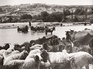 1943 Syria - Hama on the river Orontes