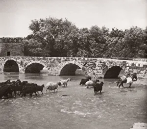 1943 Syria - Hama on the river Orontes