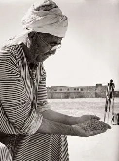 1943 - Syria - Homs - a man grading wheat grain