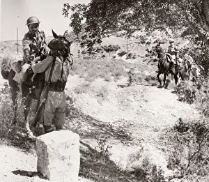 1943 Syria Trans-Jordanian Frontier Force TJFF regiment