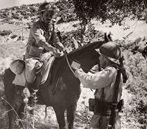 1943 Syria Trans-Jordanian Frontier Force TJFF regiment