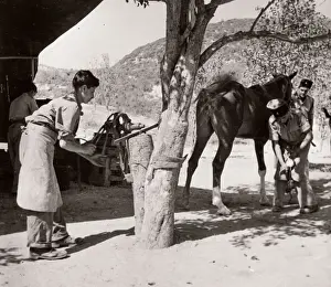1943 Syria Trans-Jordanian Frontier Force TJFF regiment
