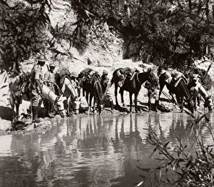 1943 Syria Trans-Jordanian Frontier Force TJFF regiment