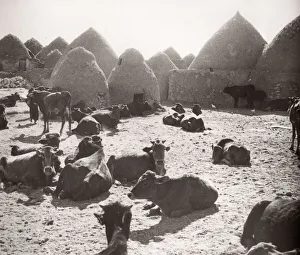 1943 Syria village with traditional mud beehive houses