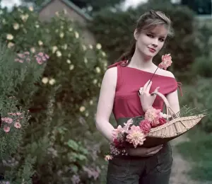 1950S Flower Picker