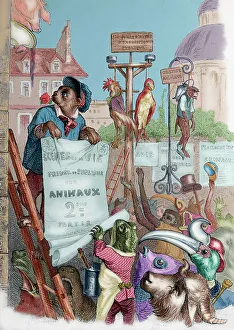 Edited Collection: 19th Century 1840 1842 Animal Animals Barcelona