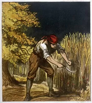 19th Century Reaper